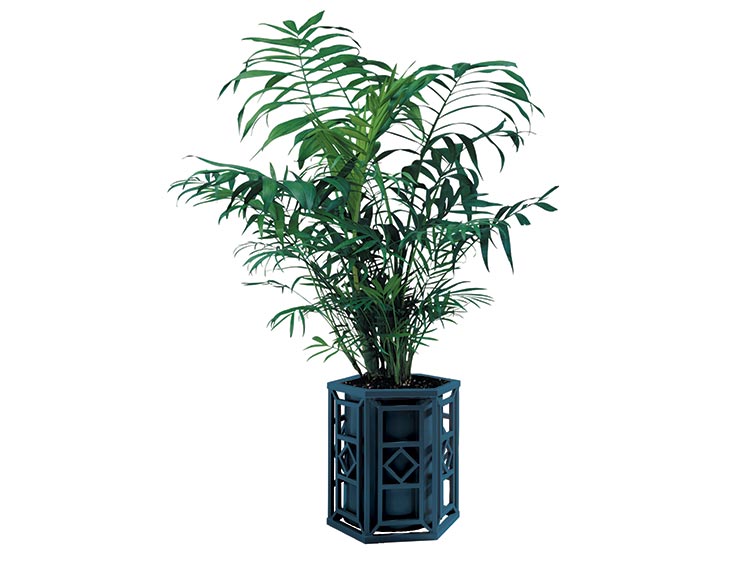 ARTISAN PLANTER