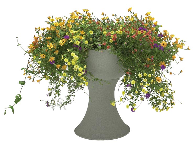 CHALICE PLANTER