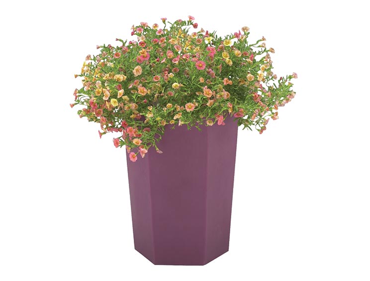 SALEM PLANTER