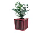 Leesburg Planter