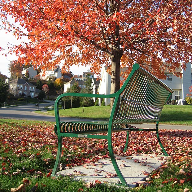 Pullman Bench with back amidst orange leaves