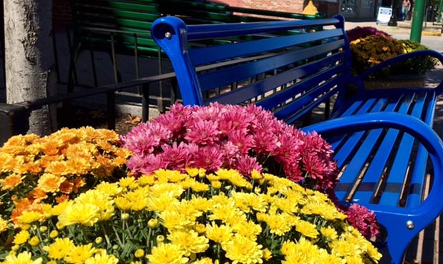 Schenley Bench with flower arrangement