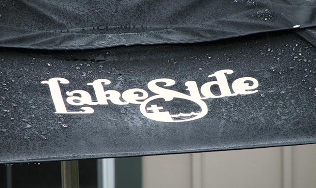 Detail of a screenprinted logo on umbrella fabric