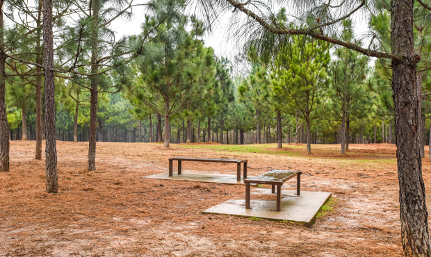 Reading Bench at Anne Springs