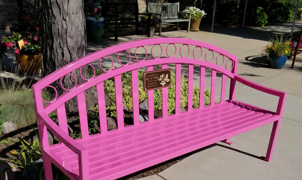 Picture of Pink Park Bench