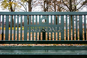 Detail of a laser cut logo on a bench back