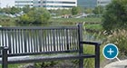 Reading Bench with Back adjacent to a water feature in an office park